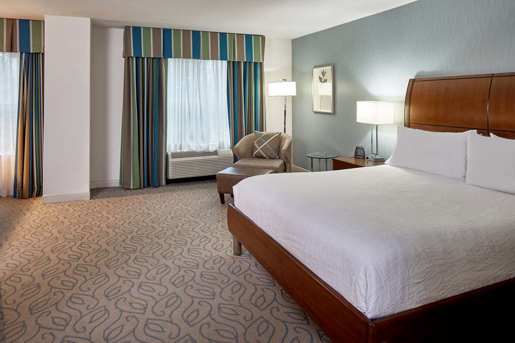 Hilton Garden Inn Atlanta Midtown Ruang foto