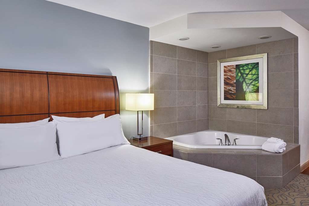 Hilton Garden Inn Atlanta Midtown Ruang foto